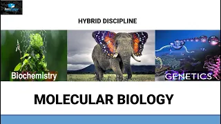 Introduction To Molecular Biology