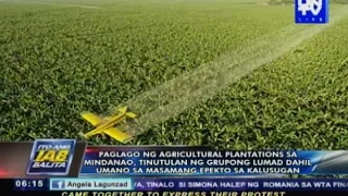 Paglago ng agricultural plantations, tinutulan ng Lumads dahil umano sa masamang epekto sa kalusugan