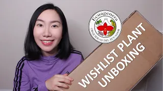 Ecuagenera Wishlist Plant Unboxing & 3-Week Acclimation Update | Aroid and Peperomia Haul