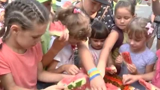 Телеканал ВІТА новини 2017-08-11 Урожай у центрі Вінниці: чи смачна городина в Європейському саду?!