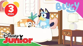 Bluey - Clip: Wildes Spiel | Disney Junior