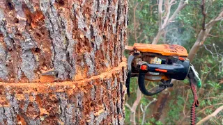 Moving the Chainsaw Efficiently in the Tree