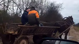 ЛОШАДИ/ВОРОНЫЕ КОБЫЛЫ/В ГОСТЯХ У ТАРЛЕЦКОГО В.И.