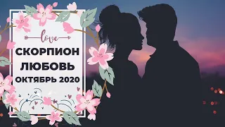 СКОРПИОН 🧡: В ЭТИХ ОТНОШЕНИЯХ — КАК в ТЕМНОМ ЛЕСУ 🌲 | ТАРО ПРОГНОЗ на ОКТЯБРЬ 2020.