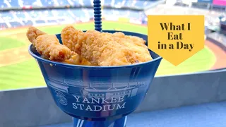 What I Eat in a Day Yankee Stadium | Blue Jays vs Yankees | Yankee Stadium Food | New York Yankees