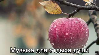 ,,МОЯ ПЕЧАЛЬ ,,Музыка Сергей Грищук #МУЗЫКА #КРАСИВАЯМУЗЫКА | Музыка для отдыха души