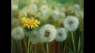 Dandelions  Одуванчики  Vugar Mamedov