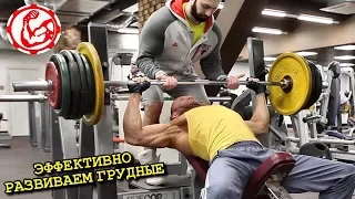 Очень эффективное упражнение для развития грудных мышц!  Жим штанги на наклонной скамье.