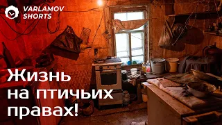 Большинство людей не доживёт до прекрасной России будущего | Варламов