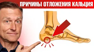 Главные причины отложения кальция в теле 🧐