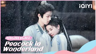 🦚【Highlight】Peacock in Wonderland EP15-21: Li Muyang hides from Hua Ni💔| iQIYI Romance