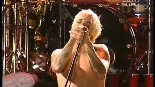 Red Hot Chili Peppers live at Red Square Moscow  'Suck My Kiss'