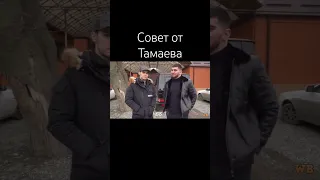 Совет от Тамаева           #топ #тамаев #асхаб #асхабтамаев #венгалби #венгаллби #wengallbi #tamaev