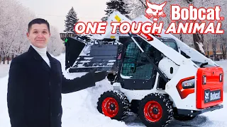 Bobcat все еще продается в России!? - ДА / BOBCAT S510