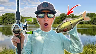 I Went Fishing With A EXPENSIVE $180 Swimbait - Worth It?