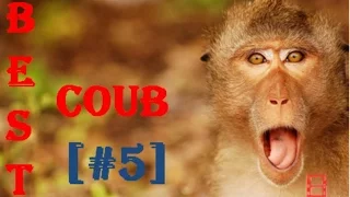 Best Coub [#5] l coub подборка приколов смотреть l