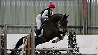 Aquarius lough masterpiece jumping well at an arena event a few weeks ago