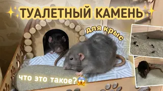 ТУАЛЕТНЫЙ КАМЕНЬ ДЛЯ КРЫС | НОВЫЙ МЕТОД ПРИУЧЕНИЯ КРЫС К ТУАЛЕТУ