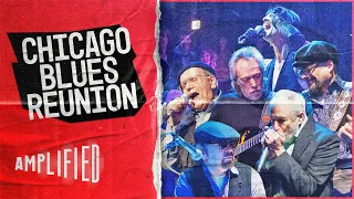 CHICAGO BLUES REUNION: Legends of Electric Blues-Rock Unite! | Amplified