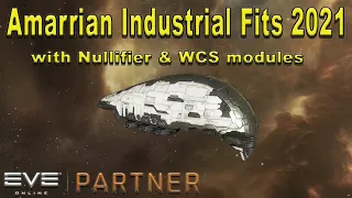 Eve Online - Amarr Hauling Ship Fits Alpha & Omega after WCS/Nullification Update