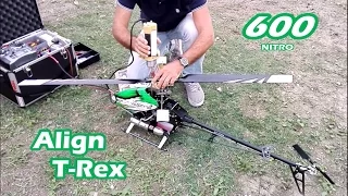 Elicottero RC | Align T-Rex 600 nitro | Prova accensione e volo dopo restauro completo!