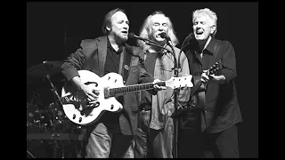 Crosby, Stills & Nash - Woodstock (Live 1996 Amazing drummer!)