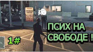 ПСИХ НА СВОБОДЕ!(Hitmen 6)