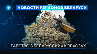 Заложники на границе / Колхоз Лукашенко не платит зарплаты // Новости регионов Беларуси