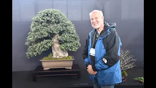 ABAS guest speaker Michael Roberts discusses development and ramification of bonsai trees.