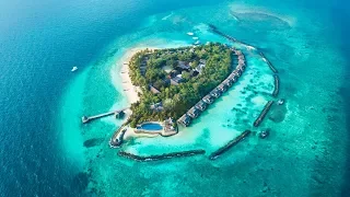 Taj Coral Reef - Maldives in 4K