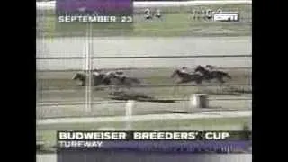 1995 Turfway Park Budweiser BC Stakes - Mariah's Storm