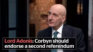 Lord Adonis calls on Jeremy Corbyn to endorse a second EU referendum on final Brexit deal