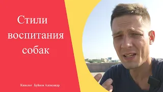 Стили воспитания собак | Какие бывают? | Плюсы и минусы дрессировки