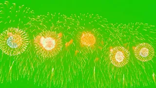 Green Screen Fireworks Animation Effect Chromakey Overlay Футаж Фейерверк 1 Эффект хромакей