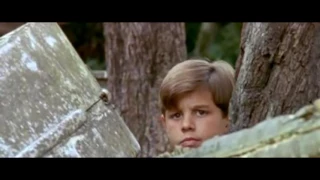 Flipper 1995 S03E07 The Outsiders