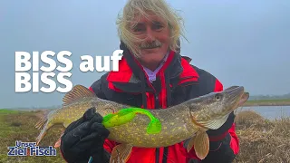 ABRÄUMEN vor der HECHT SCHONZEIT - Am Fluss mit JÖRG OVENS - Unser Ziel ist Fisch - Angelschule