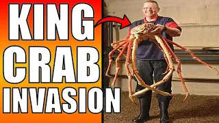 INVASION OF THE KING CRAB