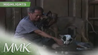 Lolo Jessie is kicked out of their house because of his dogs | MMK