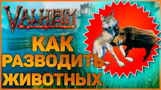 ГАЙД - КАК ПРИРУЧАТЬ И РАЗВОДИТЬ ЖИВОТНЫХ в Valheim (Вальхейм)