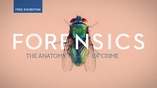 Forensics: the anatomy of crime