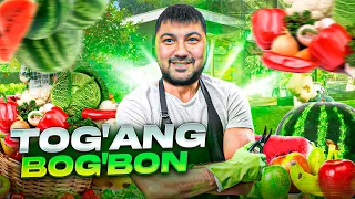 GARDEN SIMULATOR / TOG'ANG BOG'BON #1 / UZBEKCHA LETSPLAY