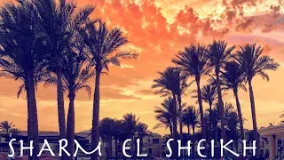 Amazing Sharm El Sheikh I Info trip