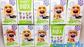 Пушистики Щенята 2 Доггивуд СВИТ БОКС НОВИНКА Коробочки Сюрпризы - Sweet Puppies surprises opening