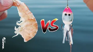 BAIT VS LURES: Which works best?  Saltwater Fishing Experiment