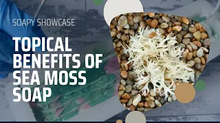 What is Sea Moss soap and should we be making it?