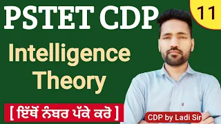 Intelligence Theory | PSTET 2024 | PSTET CDP Preparation | Day-11 |  PAPER-1 & 2 | Study Fighters