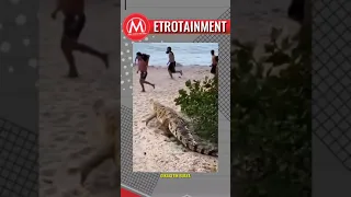 crocodile prank people at the beach 🤣 #shorts #funnyshorts #viral #funniestanimals