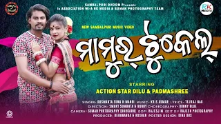 MAMUR TUKEL || ମାମୁଁର ଟୁକେଲ || DUSMANTA SUNA || MANBI || SAMBALPURI SONG || SAMBALPURI SONG 2022 ||