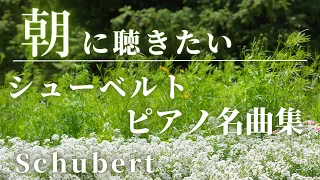 【名曲クラシック】朝に聴きたいシューベルトピアノ曲集  気持ちの良い朝のスタートに♪BGM Schubert Piano