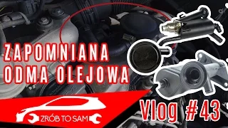 Odma olejowa objawy , diagnoza - omówienie Vlog #43